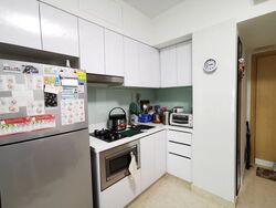 Eight Riversuites (D12), Condominium #621719121